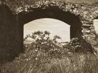 Bögen und Holunder  Pentax K-1, smc PENTAX-FA 31mm F1.8 AL Limited   - 22.Mai 2018 - : Blüte, Holunder, Landschaft, Rheinwiesen, Ruine, Viadukt, Weide