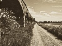 Am Viaduktweg  Pentax K-1, smc PENTAX-FA 31mm F1.8 AL Limited   - 22.Mai 2018 - : Landschaft, Rheinwiesen, Ruine, Viadukt, Weg, Weide