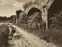 Viaduktweg : Fahrrad, Landschaft, Rheinwiesen, Ruine, Viadukt, Weg, Weide, Winora, Yakun Urban