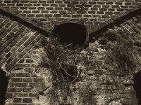 Abfluss im Viaduktpfeiler  Pentax K-1, smc PENTAX-FA 31mm F1.8 AL Limited   - 22.Mai 2018 - : Landschaft, Ruine, Viadukt