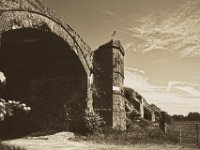 Abflug  Pentax K-1, smc PENTAX-FA 31mm F1.8 AL Limited   - 22.Mai 2018 - : Gatter, Holunder, Landschaft, Rheinwiesen, Ruine, Viadukt, Vogel, Weg, Weide