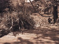 Schattenplatz  Fuji GW 690 III, Bergger Pancro 400@160 - 23.04.2018 -