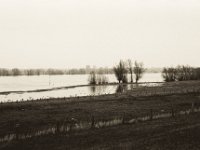 Der Fluss steigt in die Wiesen  Pentax MZ-S, SMC FA  1.9/43 Limited, Bergger Pancro 400