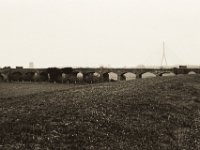 Viadukt und Brücke  Pentax MZ-S, SMC FA  1.9/43 Limited, Bergger Pancro 400