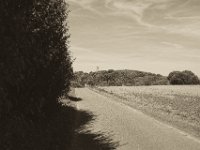 Die Kirchturmspitze  Pentax K-1, SMC Pentax FA 1.9/43 Limited - 26.09.2018 - : Bäume, Kirchturm, Landschaft, Landwirtschaft