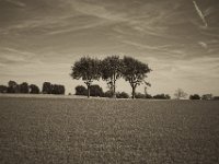 Drei  Pentax K-1, SMC Pentax FA 1.9/43 Limited - 26.09.2018 - : Bäume, Felder, Landschaft, Landwirtschaft