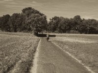 Der Radfahrer vor mir  Pentax K-1, SMC Pentax FA 1.9/43 Limited - 26.09.2018 - : Fahrrad, Felder, Feldweg, Landschaft, Landwirtschaft, Mann