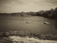 Kormorane  Pentax K-1, SMC Pentax FA 1.9/43 Limited - 26.09.2018 - : Baggersee, Kormoran, Strandbad, Vögel, Wildgänse