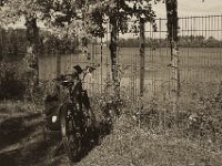 Hinterm Zaun der Baggersee  Pentax K-1, SMC Pentax FA 1.9/43 Limited - 26.09.2018 - : Baggersee, Fahrrad, Kormoran, Strandbad, Vögel, Wildgänse, Zaun