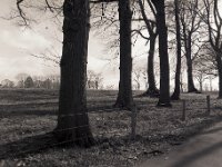 Eichen  Pentax 645N, SMC A 2.8/45, Fuji Acros @50