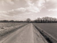 Feldweg  Pentax 645N, SMC A 2.8/45, Fuji Acros @50