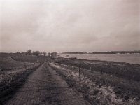 Hinab zum Rheinufer  Pentax 67II, SMC 4.0/45, Ilford FP4plus@80
