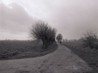 Auf dem Heimweg  Pentax 67II, SMC 4.0/45, Ilford FP4plus @ 80