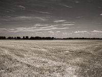Hitzefelder  Pentax K-1, smc PENTAX-FA 31mm F1.8 AL Limited  -30.07.2018 - : Felder, Himmel, Landschaft, Wolken
