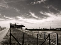 Hofcafe  Pentax K-1, smc PENTAX-FA 31mm F1.8 AL Limited  -30.07.2018 - : Himmel, Landschaft, Rheindeich, Schilder, Weg, Weide, Wolken