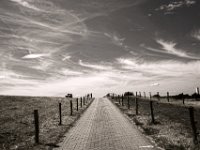 Zu warm zum Rheindeichsitzen  Pentax K-1, smc PENTAX-FA 31mm F1.8 AL Limited  -30.07.2018 - : Bank, Himmel, Landschaft, Rheindeich, Weide, Wolken