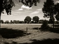 Endlich etwas Schatten  Pentax K-1, smc PENTAX-FA 31mm F1.8 AL Limited  -30.07.2018 - : Bäume, Himmel, Landschaft, Weide, Wolken