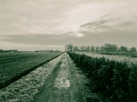 Feldweg  Pentax 645N, SMC FA 2.8/45, Gelbfilter, Bergger Pancro400