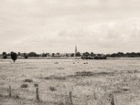 Dorfanblick mit Kühen auf der Weide  Contax Aria, Planar 1.4/50, Gelbfilter, Foma Retropan 320@160