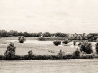 Gänse, Tümpel und kleine Seen  Contax Aria, Planar 1.4/50, Gelbfilter,  Foma Retropan 320@160