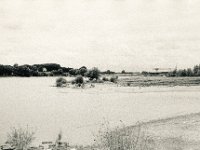 Rheinuferbucht  Contax Aria, Planar 1.4/50, Gelbfilter,  Foma Retropan 320@160