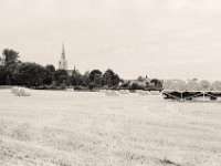 Heimischer Anblick  Contax Aria, Planar 1.4/50, Gelbfilter,  Foma Retropan 320@160  - 03.08.2019 -