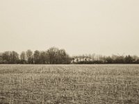 Stoppelfeld  Pentax K-1, SMC Pentax Fa 1.9/43 Limited - 06.April 2019 -
