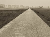 Hundepaar  Pentax K-1, SMC Pentax Fa 1.9/43 Limited - 06.April 2019 -