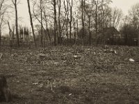 Alles für die Straße  Pentax K-1, SMC Pentax Fa 1.9/43 Limited - 06.April 2019 -