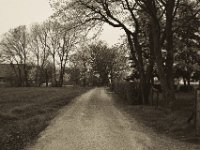 Gehöft am Rheindeich  Pentax K-1, SMC Pentax Fa 1.9/43 Limited - 06.April 2019 -