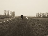 Vor mir ein Radfahrer mit Schäferhund  Pentax K-1, SMC Pentax Fa 1.9/43 Limited - 06.April 2019 -