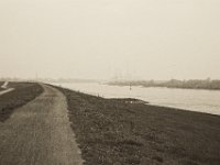 Auf dem Rheindeich  Pentax K-1, SMC Pentax Fa 1.9/43 Limited - 06.April 2019 -