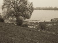 Flussufer  Pentax K-1, SMC Pentax Fa 1.9/43 Limited - 06.April 2019 -