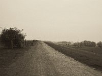Weiter auf dem Deich  Pentax K-1, SMC Pentax Fa 1.9/43 Limited - 06.April 2019 -