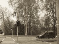 Auf dem Rückweg  Pentax K-1, SMC Pentax Fa 1.8/31 Limited  - 06.April 2019 -