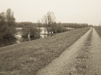 Kleiner See hinterm Rheindeich  Pentax K-1, SMC Pentax Fa 1.8/31 Limited  - 06.April 2019 -