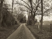 Weg zum Bauernhof hinterm Deich  Pentax K-1, SMC Pentax Fa 1.8/31 Limited  - 06.April 2019 -