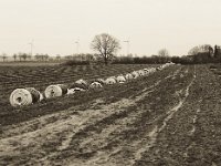 Warten auf die Spargelsaison  Pentax 645N, SMC FA 2.8/75, Bergger Pancro 400