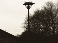 Storchennest im Nieselregen  Pentax 645N, 2.8/150, Gelborangefilter, Bergger Pancro 400 @ 640