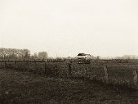 Weidenfutterplatz  Pentax 645N, 2.8/150, Gelbfilter mittel, Bergger Pancro 400@640