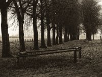 Die Kühe sind im Stall, die Weide ist leer  Pentax 645N, 2.8/150, Gelbfilter mittel, Bergger Pancro 400@640