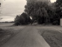 Paar  Pentax K2, SMC 2.8/24,  Gelbfilter, Bergger Pancro400@250
