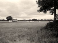 Segelflugplatz Wesel  Pentax K2, SMC 2.8/24,  Gelbfilter, Bergger Pancro400@250
