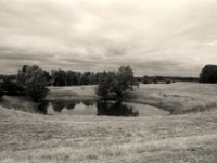 Weiher  Pentax K2, SMC 2.8/24,  Gelbfilter, Bergger Pancro400@250