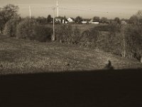 Die Katze und der Fahrradschatten  Pentax K-1, smc PENTAX-FA 43mm F1.9 Limited  - 16.02.2019 - : Bäume, Fahrrad, Felder, Katze, Rheindeich, Schatten, Wiese