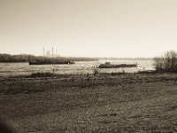 Lastkähne auf dem Rhein  Pentax K-1, smc PENTAX-FA 43mm F1.9 Limited  - 16.02.2019 - : Fluss, Kraftwerk, Lastkahn, Rhein, Rheinwiesen, Schiff