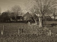 Hof mit Pferd und Kopfweiden  Pentax K-1, smc PENTAX-FA 43mm F1.9 Limited  - 16.02.2019 - : Bäume, Landschaft, Landwirtschaft, Pferd