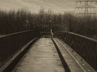 Fahrradbrücke über die Autobahn  Pentax K-1, smc PENTAX-FA 43mm F1.9 Limited  - 16.02.2019 - : Bäume, Brückengeländer, Graffiti, Licht und Schatten