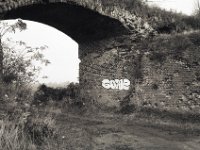Gone  Fuji GW 690 III, Bergger Pancro400