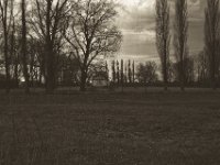 Pumpenhaus  Pentax K-1, SMC Pentax FA 1.9/43 Limited  - 17.12.2019 - : Morgengrau, Pumpenhaus, Landschaft